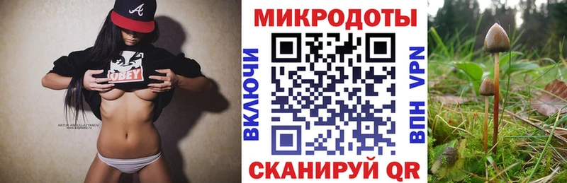 Галлюциногенные грибы Psilocybine cubensis  Тавда 